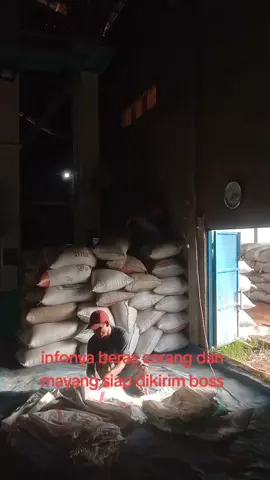 siap dikirimkan#berashibrida #penggilinganpadi #UB #usahabersama #