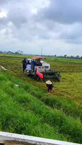 Đủ trò kkk #viral #catlua 