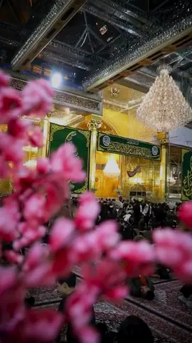 اللهُم صلِ على مُحمد والـِ مُحمد🤎. ـ ـ ـ #اللهم_صلي_على_نبينا_محمد  #ام_البنين_عليها_السلام  #explore #foryoupage #viral 