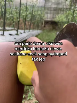 penak ngene #fyp #demo 