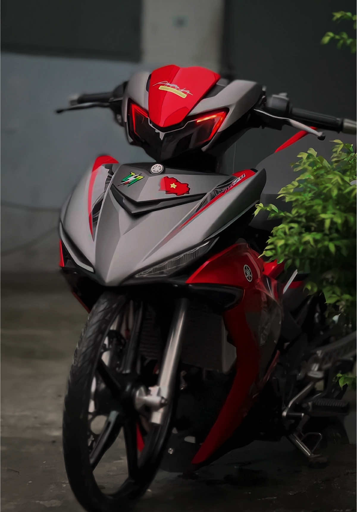 🗿#ex150_style_malay #ex150độkiểng #mxking150 #xuhuong #y15zr 
