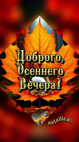 #добрыйвечер #добрыйвечердрузья #хорошеговечера #пожеланиедрузьям🎨 #осеннийвечер 