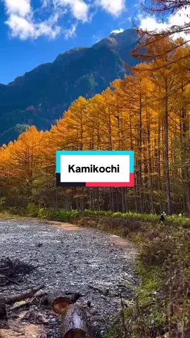 Kamikochi điểm đến không thể bỏ qua trong mùa thu này. Mọi  chi tiết và thông tin chuyến đi Ib Add sẽ Tl nha #kamikochi #thuysi #fyp #dulich #Trumtourjapan 