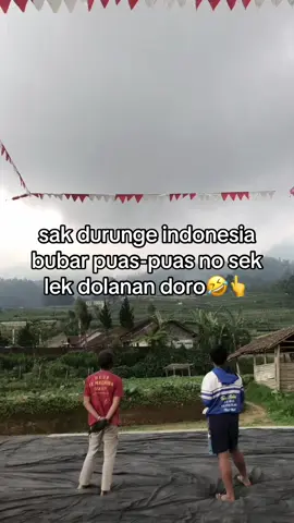 #merpatikolong #merpatikolongbebas 