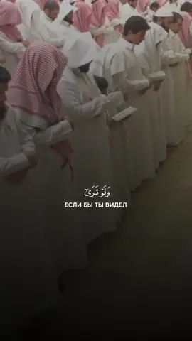 🗣️: Muhammad Al-Luhaidan 📚: As-Sajda 📜: 12-13
