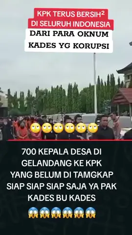 bersih bersih bolo