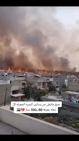 حرق بساتين الدوره #حريق #بغداد #بغداد_الدوره #نخيل_بغداد #فاجعة_بغداد 