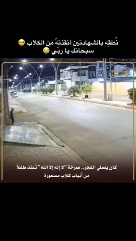 نطقه بالشهادتين أنقذته من الكلاب 🥹 || ضيفوني ولكم الأجر باذن الله #explore #follow #foruyou #CapCut #ضيفوني 