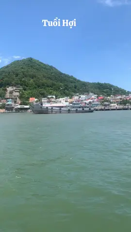 Dành cho bạn tuổi Hợi 