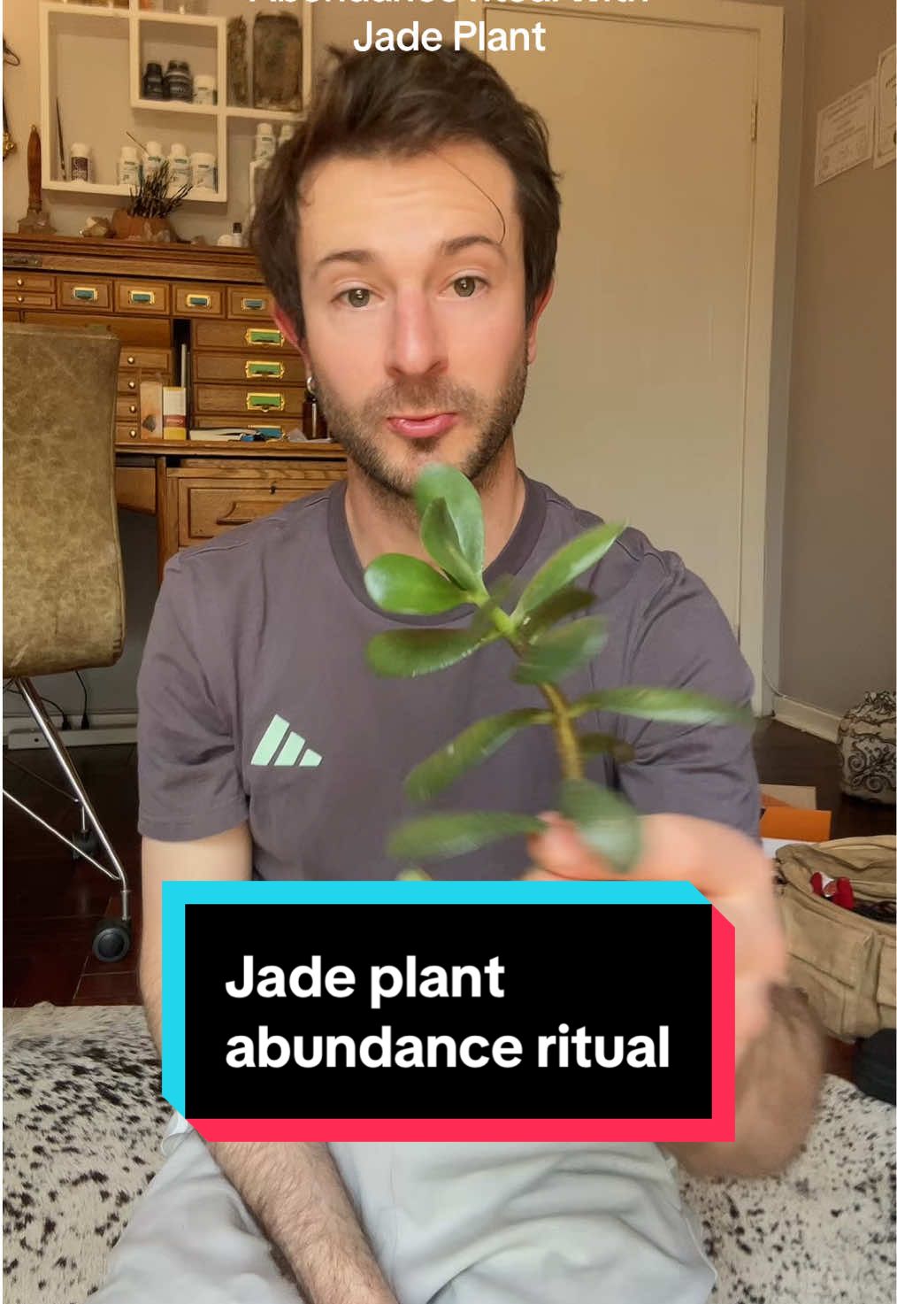 Replying to @Sikza Mbils here is an abundance ritual we can do using Jade Plant! Guardian of prosperity and growth, financial abundance, and grounding roots of growth in the home and in our lives. This ritual is a beautiful one to do now as it’s spring but can be done at any time of year. This is a powerful manifestation of growing financial abundance and rooted stable growth. Jade plant is for stable income rather than quick money. 