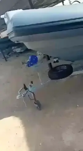 بالتوفيق للجميع انشالله 