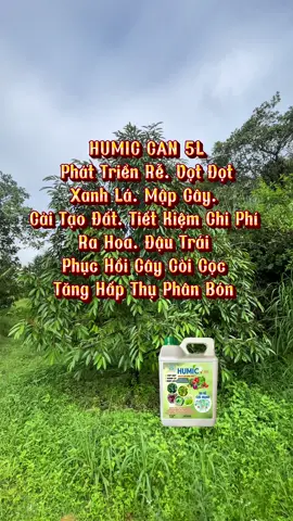 Humic can 5L#xuhuong #saurieng #caytrong #thuocbvtv #humic 
