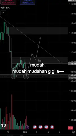 isi galeri 2bulan terakhir🗿 #tradingforex #fyp 