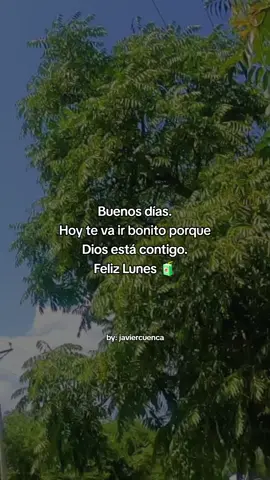 🙏🏼✨ #parati #fyp #frases #bendiciones #lunes 