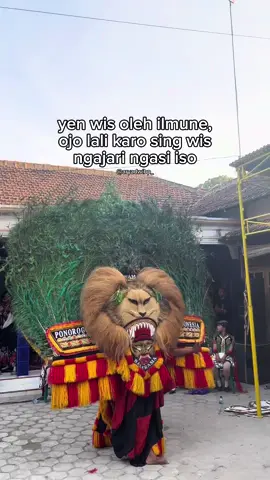 #fyp #reog #storyreog #reogponorogo #boloreog #jathilcantik #ponorogo_kota_reog #ponorogo24jam 