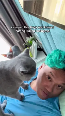 kumpul kumpul sama kucing emang seseru ituu #uyakuyatv #rekomendasimakanankucing #majespet #sehatdarimangkuknya #masukberandafyp 