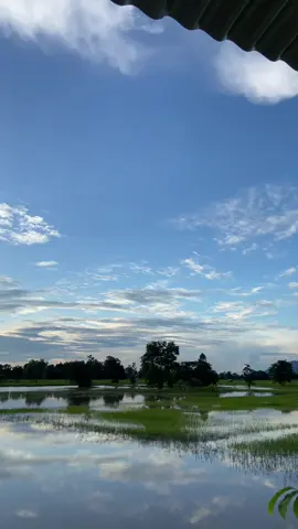 #วิวบ้านนอก🍃 #วิวยามเย็นครับ🍃💫 #fyp #tiktok #ขึ้นฟีดเถอะ 