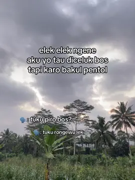 Koe wa tau urung cah?#bakulpwntol #bosmudapunyacerita 