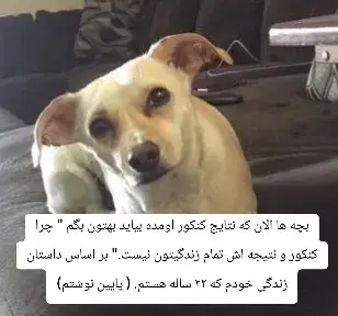 اقا من ۱۸ سالم که بود ، اول بگم رشتم تجربی بود و هیچ استعدادی توی ریاضیات یا زیست یا فیزیک و شیمی نداشتم هیچی افتضاح کامل و به اجبار خانواده که باااید دکتر شی رفته بودم ، کنکور رو که‌ دادم رتبه ام خیلییی افتضاح شده بود شاید ۹۰ هزار؟ یا حتی بیشتر شارژ ایرانسلی بود واسه خودش😂 مشاور کنکورم اون موقع بهم گفت که با این رتبه هیچ امیدی بهم نیست هیچی نمیشم باید دوباره بخونم و کنکور بدم و رسما مثل یه احمق باهام رفتار کرد.  اما من رفتم رشته ی مدیریت دانشگاه ملی همین شهر خودمون دوباره ننشستم پای کنکور و خودمو اعصابمو باهم نابود نکردم. توی دانشگاه فهمیدم هم استعداد این رشته رو دارم هم خودم خوندم و اسه سال و نیم لیسانس گرفتم به جای چهارسال و به عنوان نخبه تحصیلی و استعداد درخشان دانشگاه خودم شناخته شدم با معدل ۱۹.۰۵ از ۲۰ و نفر اول رشته ی خودم شدم. در همین چندین مقام قهرمانی ورزشی اوردم حدود ۱۰ تا یا ۱۲ تا . و توی پایان لیسانس سه تا از دانشگاهای برتر کشور (‌ دانشگاه تهران ، علامه ، خوارزمی)  بدون حتی ازمون بورسیه شدم! ولی خب ممکنه به خاطر شرایط زندگیم نتونم برم اونجاها و همینجا کارمند بانک بشم... حتی بانکم قبول شدم بهرحال. و حقوق بانکی ها از حقوق پزشک ها و پرستارهای معمولی نه حالا متخصص یا خیلیی استثنا بیشتره بهرحال.... یا در یک سطحن.. میدونید منظورم چیه دیگه. میخوام اینو بهتون بگم. این تمام زندگیتون نبود. اگر داخلش موفق شدید؟ ایوووول من بهتون جدی تبریک میگم خیلی شاهکار کردید. اگر نشدید؟ مهم نیست. همین!  زندگی شما به پایان نرسیده تازه شروع شده. امیدتون رو از دست ندید.