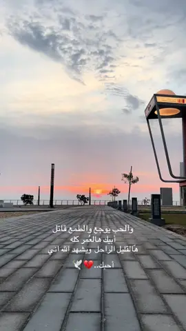أنا طفلك المهموم ..♥️🕊️ #بدر_بن_عبدالمحسن #explore #fypシ #fyp 