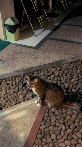 #thoseeyes 