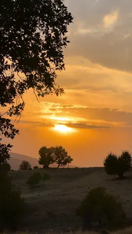 هەرگیز واز لە فێربوون مەهێنە چونکە ژیان هەرگیز لەوانە وتنەوە ناوەستێت 🤍..#khadeja #zhazhuk #mergasor #fypシ #fyp 