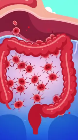 5 cambios increíbles en tu cuerpo al tomar vinagre de manzana #vinagredemanzana #saludnatural #colesterol #digestión #pielsaludable 