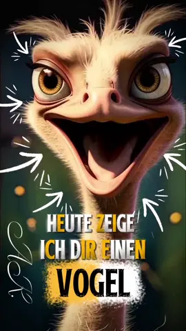 🤣🤣🤣🤣🤣#fyp #fürdich #viraltiktok #foryoupage❤️❤️ #humor 