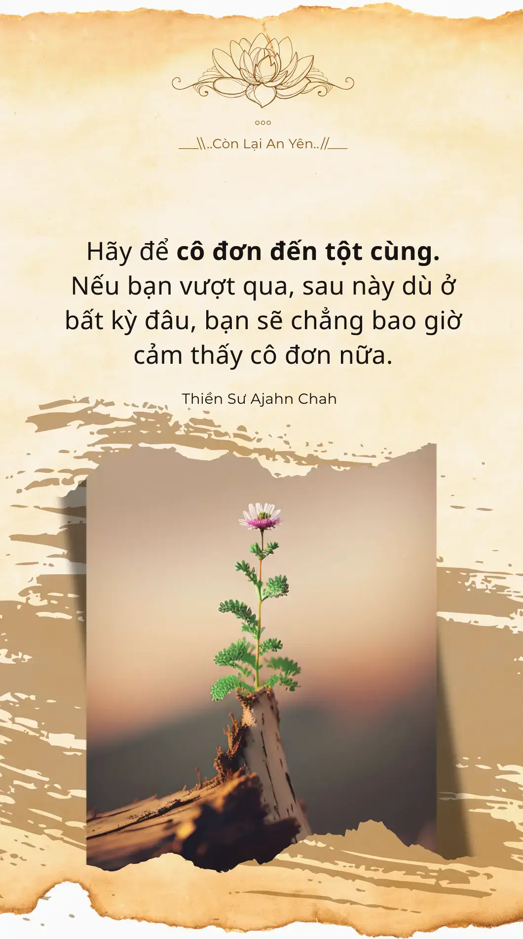 Đỉnh cao nhất của bi kịch là hài kịch. Đến cuối cùng, tột đỉnh của cô đơn là bạn chẳng còn biểu lộ ra cảm xúc gì nữa. Nụ cười gượng gạo trên môi dần trở thành màn che, giấu đi gương mặt thật sự. Cái giá của trưởng thành, có thể là cô đơn, nhưng không có nghĩa là chúng ta sẽ sống mãi như vậy.  #phatphap #buddha #tinhthuc #chữalành #conlaianyen