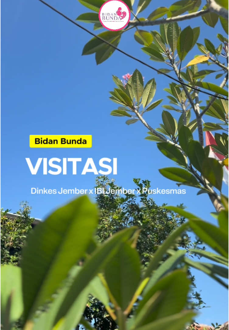 ✨ Terima kasih kami ucapkan kepada Dinas Kesehatan Jember, IBI Cabang Jember, serta Puskesmas yang telah berkenan hadir ke tempat praktek Bidan Bunda dalam rangka visitasi peninjauan kelayakan. Kunjungan ini menjadi motivasi besar bagi kami untuk terus meningkatkan kualitas pelayanan, memberikan kenyamanan, serta menghadirkan pengalaman persalinan yang aman dan penuh kasih sayang bagi setiap bunda 💕 #visitasi #bidanjember #dinkesjember #ibijember #puskesmasjember #pelayananbidan #IBI #dinaskesehatan #ikatanbidanindonesia #puskesmas #dinaskesehatanjember