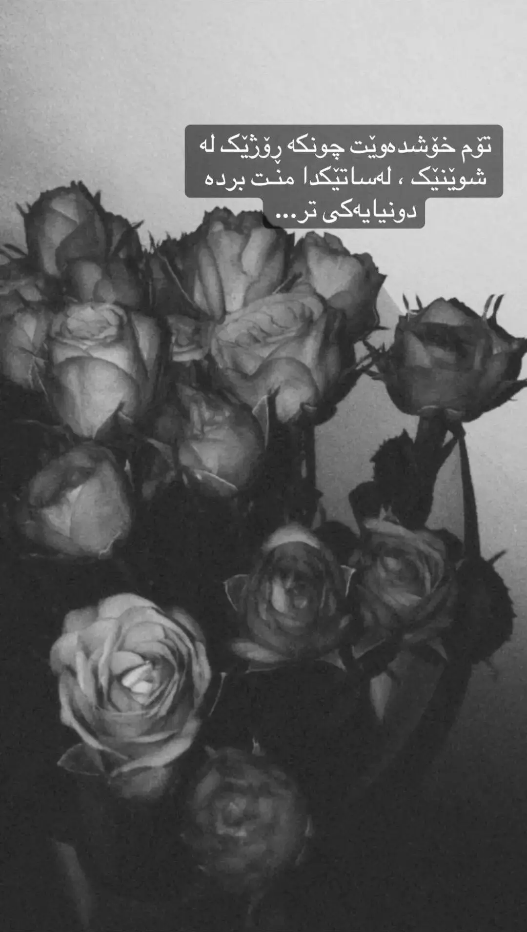 لە ساتێکدا منت بردە دونیایەکی تر 🌚🖤#slemany#🤎🤎 