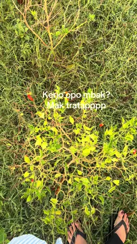 😌