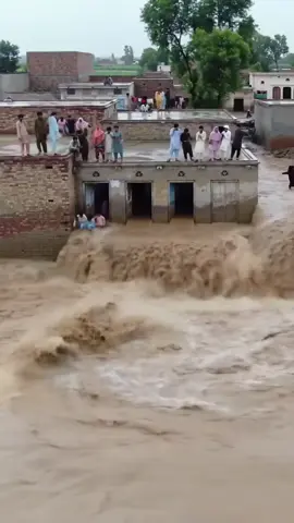 AI flood vlog #PakistanFloods #FloodDisaster #DroneFootage #VillageFlood #NaturePower 
