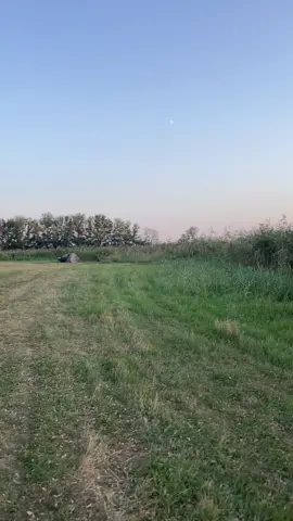 Рыбак Кубани 