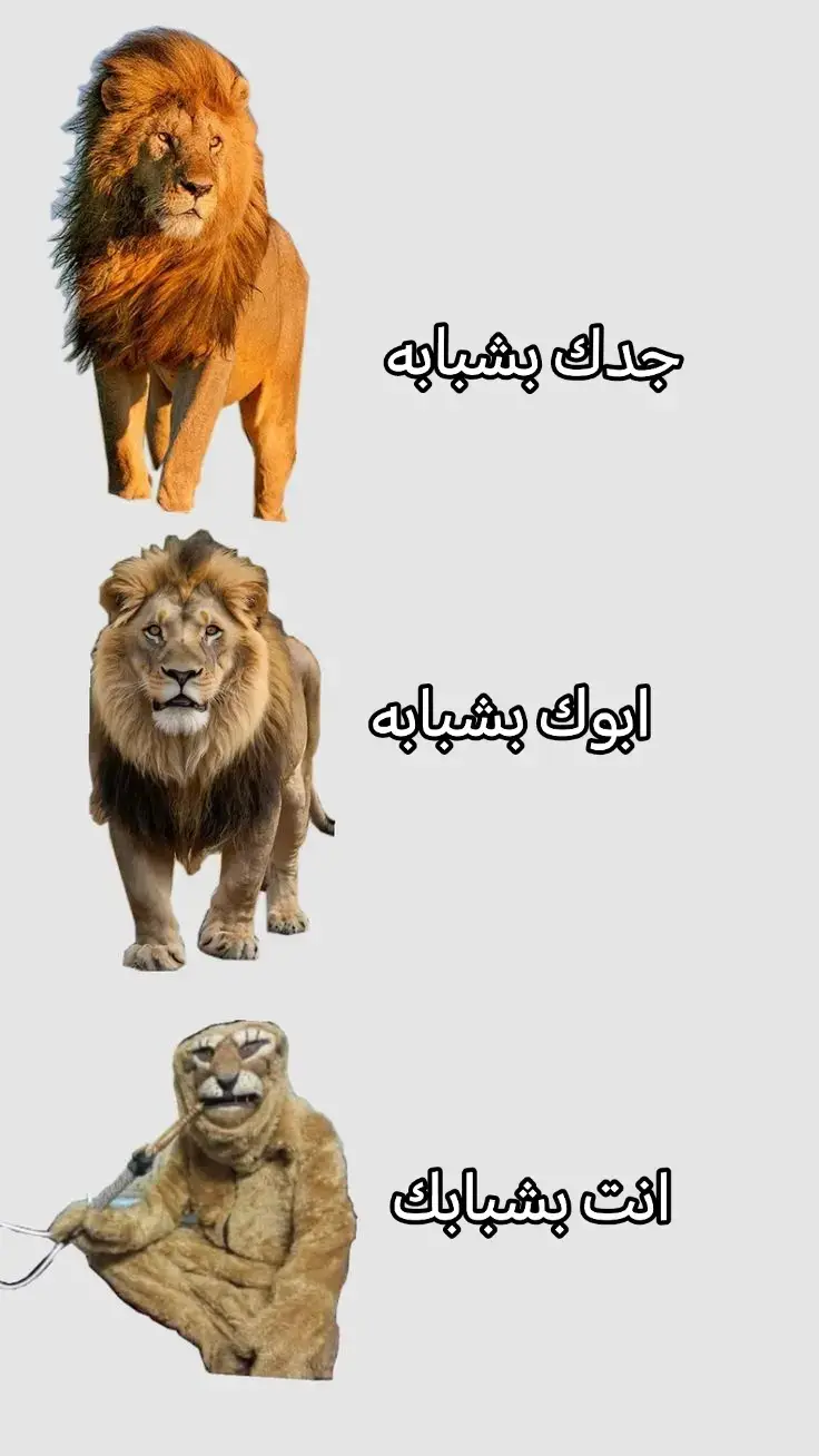 #الشعب #الصيني #ماله #حل #🤣 