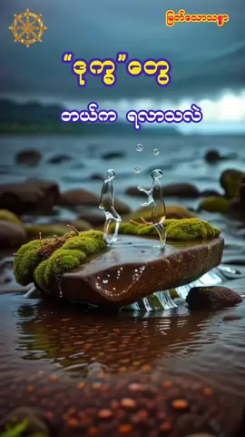 ခန္ဓာရလာတာလည်းဒုက္ခပဲ . . . . . #ပါမောက္ခချုပ်ဆရာတော် #မြတ်သောသစ္စာ #buddha #tiktok #fyp 