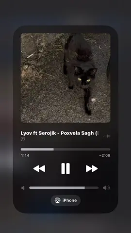Deminid mejic aruna hosumm)🩸 #77 #lyov #serojik #rek #rek 