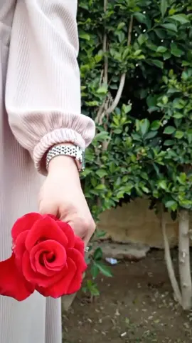 #CapCut #اللهم-امين-يا-رب-العالمين🤲🕊️🦋