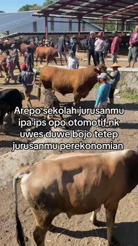#petrnakmuda#blantiksapi 