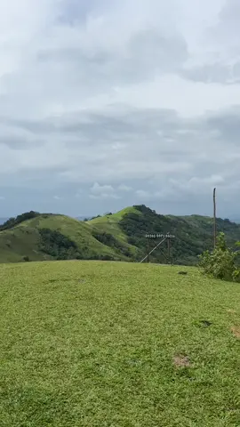 kapan bisa ke bukit tamiang lagi, menikmati sabana nya ☘️ #bukitsapuangin #pelaihari #bukit #mountain #nature 