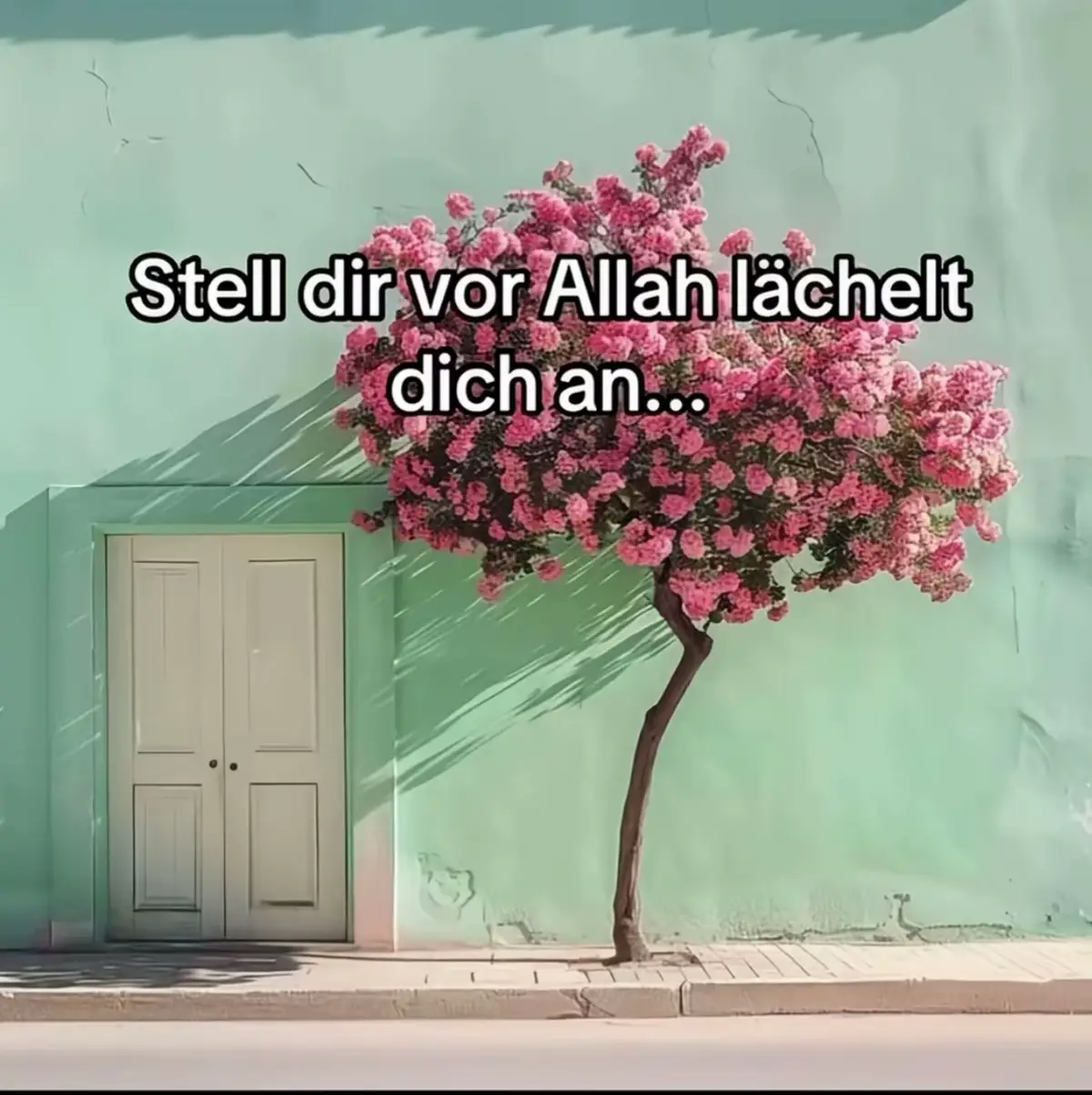 #القرآن_الكريم #ذكر #اذكار #أدعية #dualipa 