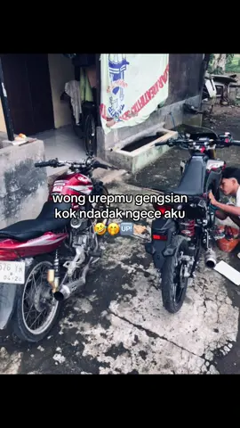 🤣#surextulungagung #trenggalek24jam 