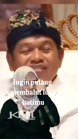 ingin pulang membalut luka hatimu#viralforyou #kdm #gubernurjawabarat #ceukokom 