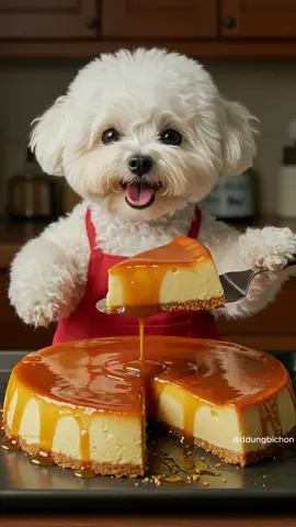 👉 뚱비숑의 달콤 폭신 카라멜 푸딩 🍮🐶  #뚱비숑 #푸딩먹방 #귀여운강아지 #카라멜푸딩 #달콤디저트    