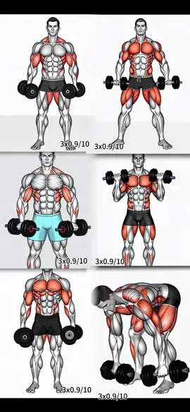 Trainiere hart, damit deine Träume Gewicht bekommen #strong #Fitness #armworkout #dumbbellworkout #healthy    