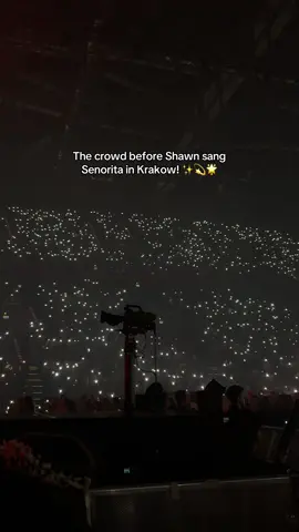I have never seen a crowd do this before it was so beautiful 🥹🫶🏼💡 @Shawn Mendes #senorita #krakow 