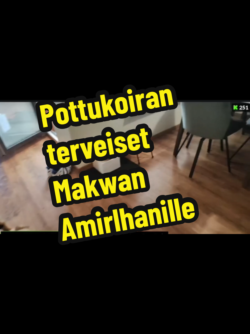 #pottukoira #stagala #miraluoti #sinulle #makwanamirkhani 
