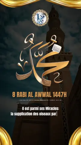 ❤️•••8 RABI AL AWWAL 1447h•••❤️ #mouride_sadikh_officiell #gamou #si_bamba_dji #sbd #fyp 