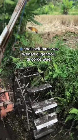 sekirane wes wegah di perjuangke colke wae #beranda#masukberandafyp#fyppppppppppppppppppppppp#fyp#fyp 