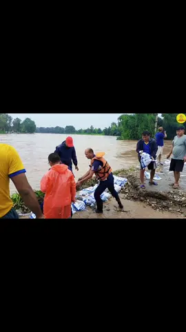 🌧 बाढी उद्धार सम्बन्धी अपडेट – कञ्चनपुर मिति २०८२।०५।१५ गते रातिदेखि परेको अविरल वर्षाका कारण कञ्चनपुर जिल्लाको दोधारा–चाँदनी नगरपालिकाका विभिन्न वडाहरूमा जोगबुढा नदीको पानी पस्दा स्थानीय बासिन्दा प्रभावित भएका छन् । ☘️वडा नं. ८ रामपुरे टापु र जर्गा टोल क्षेत्रबाट करिब २५ परिवार (७० जना) लाई सुरक्षित स्थान जनज्योति मा.वि. मा सारिएको छ । ☘️वडा नं. ३ पटराखल्ला टोलबाट १५ परिवार (५५ जना) लाई सर–सामान र चौपाया सहित जमुना आ.वि. मा स्थानान्तरण गरिएको छ ।  ☘️वडा नं. १० मा रहेको स.प्र.बल BOP सुन्दरनगरका २३ जना, BOP कञ्चभोजका ३० जना, साथै शान्ति टोलका करिब १२ परिवार (४० जना) लाई सुरक्षित रूपमा विभिन्न विद्यालय तथा सामुदायिक भवनमा सारिएको छ । यस उद्धार कार्यमा नेपाल प्रहरी, सशस्त्र प्रहरी, नेपाली सेना तथा स्थानीय बासिन्दा सक्रिय रूपमा खटिएका छन्। साथै प्रभावित क्षेत्रमा कञ्चनपुर जिल्लाका प्रमुख जिल्ला अधिकारीज्यू तथा जिल्ला प्रहरी कार्यालय कञ्चनपुरका प्रमुखज्यूको नेतृत्वमा टोली खटिइ उद्धार तथा अनुगमन कार्य निरन्तर जारी छ । सबैलाई सुरक्षात्मक सावधानी अपनाउन, सुरक्षित स्थानमै रहन र कुनै समस्या परे तत्काल प्रहरी वा सम्बन्धित निकायलाई सम्पर्क गर्न अनुरोध गर्दछौ ।#sudurpaschimpolice 